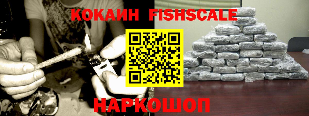 где купить наркоту  Вход с VPN  Мирный  Cocaine Fish Scale 