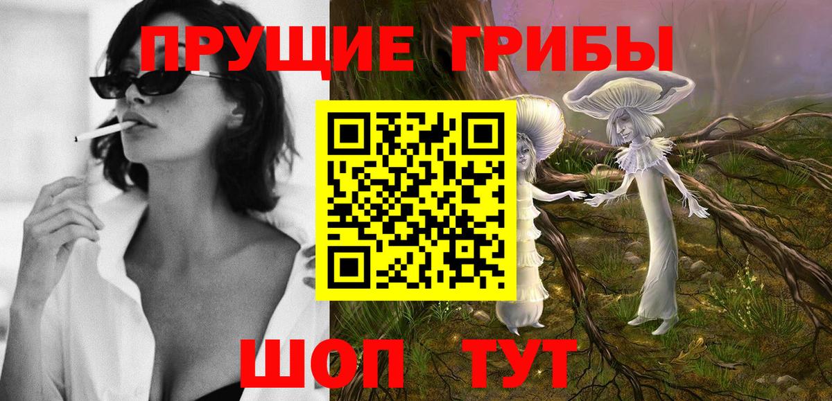 даркнет сайт  Псилоцибиновые грибы мицелий  Вход с VPN  Мирный 