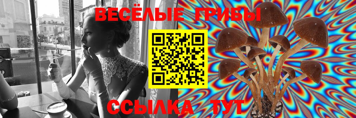 Галлюциногенные грибы GOLDEN TEACHER Мирный